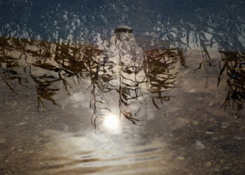 Canon EMEA partners with UN Women to deliver educational workshops in Libya, focusing on Entrepreneurship, Innovation and Technology