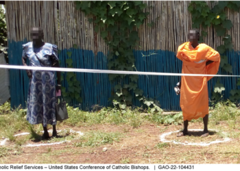 COVID-19: Better USAID Documentation and More-Frequent Reporting Could Enhance Monitoring of Humanitarian Efforts