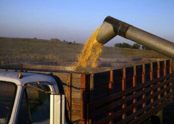 Global food prices hit two-decade high