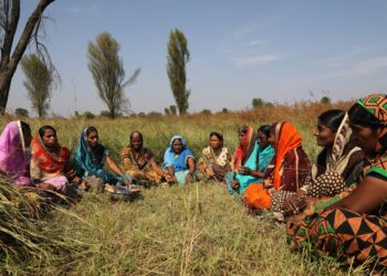 Correlation between varied agricultural production and women’s dietary diversity