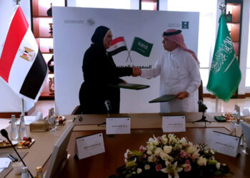 Value of trade exchange between Egypt and Saudi Arabia hit $8 billion in 2021