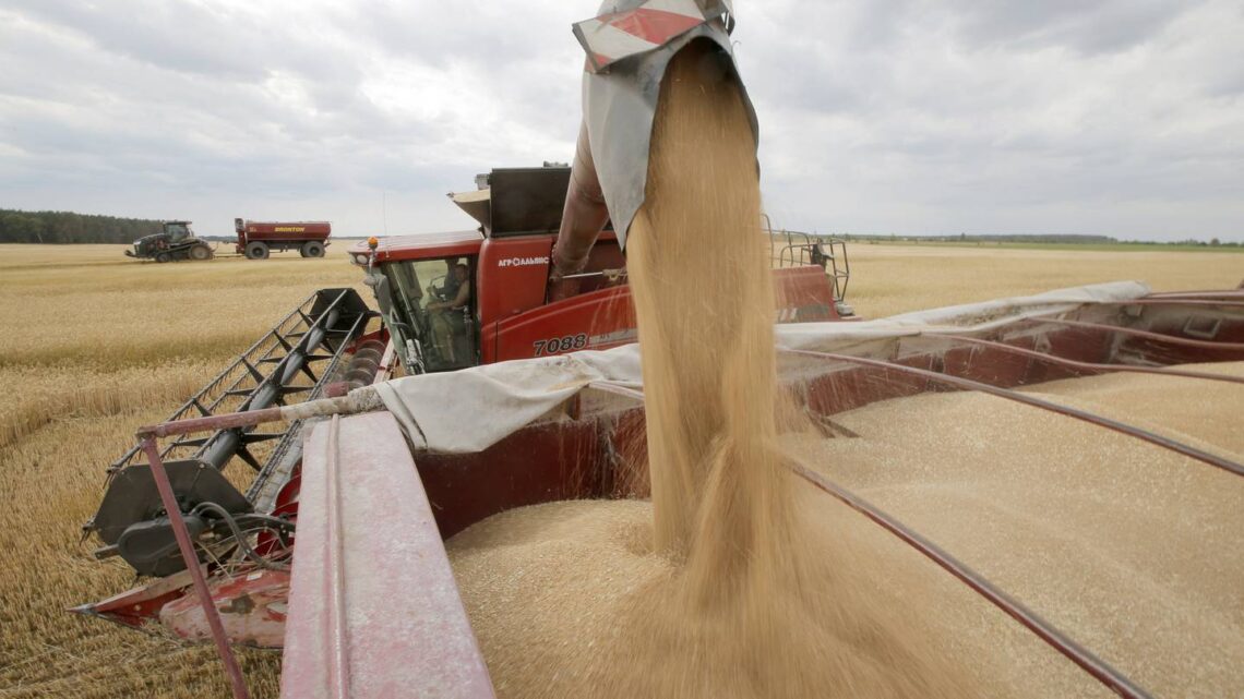 Africa faces grain shortage and sharp rise in food prices if Ukraine exports stop