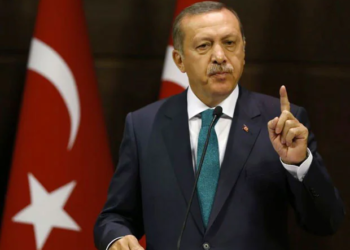 Turkey and Saudi Arabia to revive great economic potential, Erdogan says