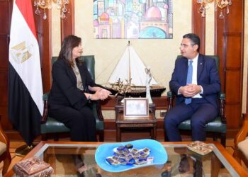 Expatriate Affairs Minister, Egypt Post discuss facilitating use of postal services by Egyptian expats