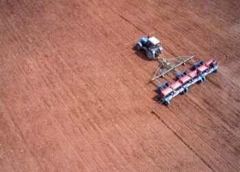 World bodies urge international intervention on food security