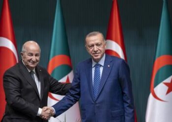 Algeria looks to Türkiye to realise untapped economic potential