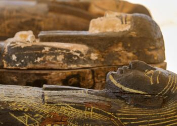Egypt displays trove of newly discovered ancient artifacts