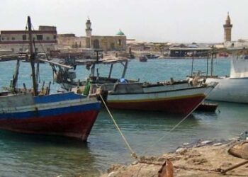 Popular pressure pauses planned RSF training camp on Sudan’s Red Sea coast