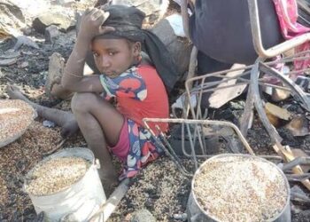 Sudan Transparency and Policy Tracker: ‘What Happens in Darfur Doesn’t Stay in Darfur’