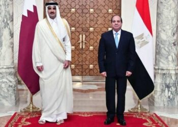 Egypt, Qatar eye more cooperation to resolve regional crises