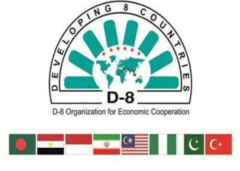 Egypt reiterates support for D8