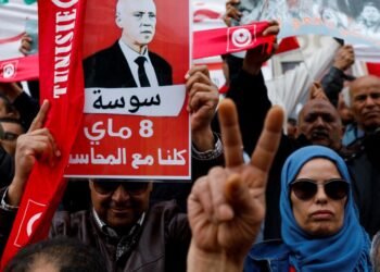 Tunisian president’s backers say ‘yes’ to proposed constitution | News