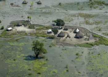 South Sudan suspends dredging of Naam river, Sudd wetlands