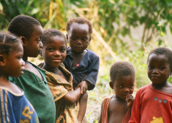 Africa Records World’s Highest Gain In Healthy Life Expectancy Over Past Decade