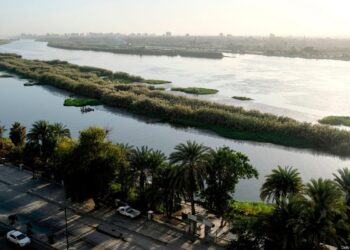 Egypt destroys trees in Cairo to build floating restaurant, car park – Middle East Monitor