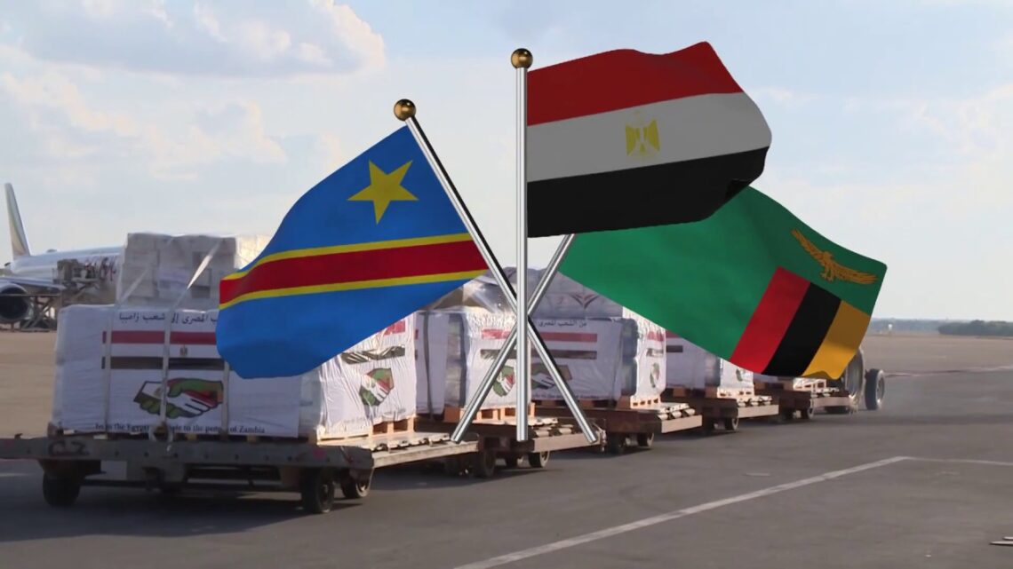 Egypt, Zambia seeking to boost bilateral cooperation in all fields