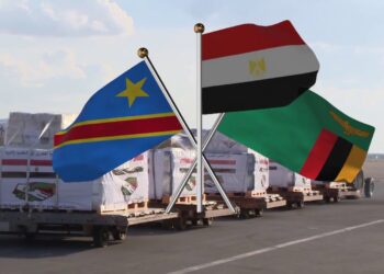 Egypt, Zambia seeking to boost bilateral cooperation in all fields