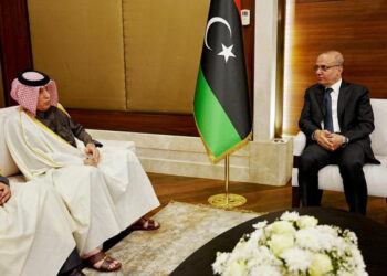 Minister of State for Foreign Affairs Meets Libyan Presidential Council’s Vice President