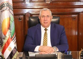 Egypt released 135,000 tons of corn, soy fodder worth $91 million from ports last week: Minister – Economy – Business