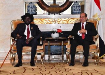 Egypt continues supporting South Sudan as per political leadership directives