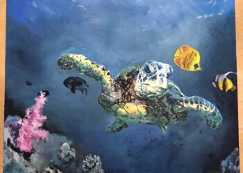 ء ﺑﺎﻟﯿﻮم ﻣﺴﺎﺑﻘﺔ اﻟﺸﺒﺎب ﻟﻠﻔﻨﻮن ﺗﺘﯿﺢ ﻟﻠﻤﻮھﻮﺑﯿﻦ اﻟﺸﺒﺎب ﻓﻲ ﺟﻤﯿﻊ أﻧﺤﺎء اﻟﻌﺎﻟﻢ ﻓﺮﺻﺔ اﻹﺑﺪاع اﺣﺘﻔﺎ اﻟﻌﺎﻟﻤﻲ ﻟﻸﺣﯿﺎء اﻟﺒﺮﯾﺔ