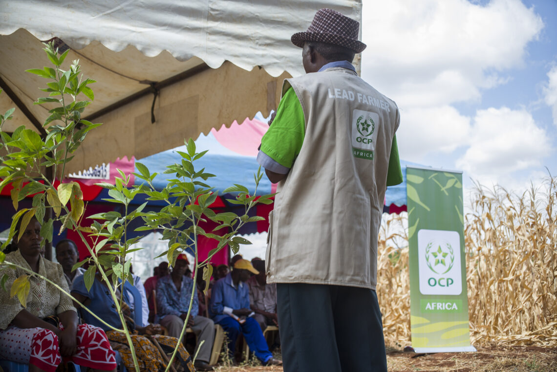 African agricultural development to boost global food security