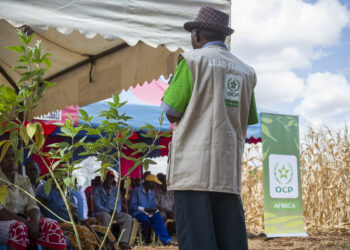 African agricultural development to boost global food security