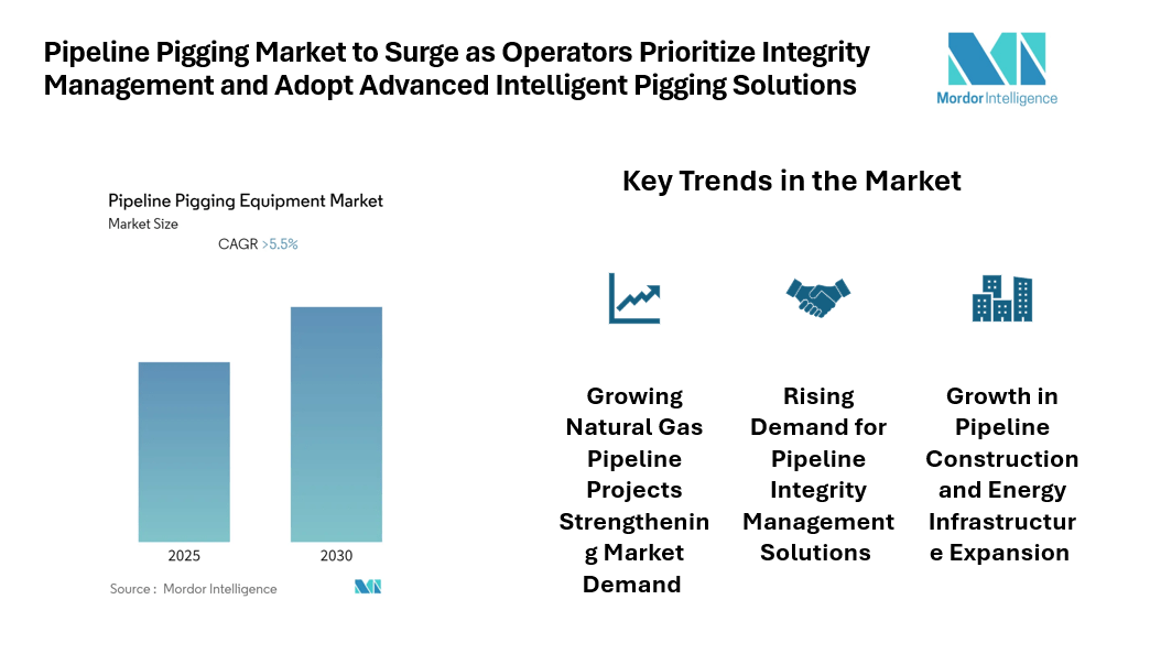 Pipeline Pigging Market Set for Strong Growth Forecast 2025 – 2030, Driven by Smart Inspection Technologies and Expanding Pipeline Infrastructure