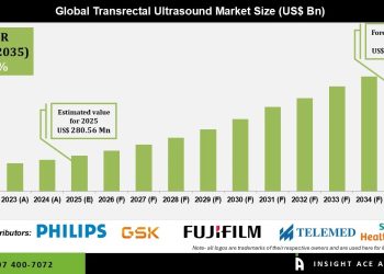 Transrectal Ultrasound Market Revenue Analysis and Growth Potential